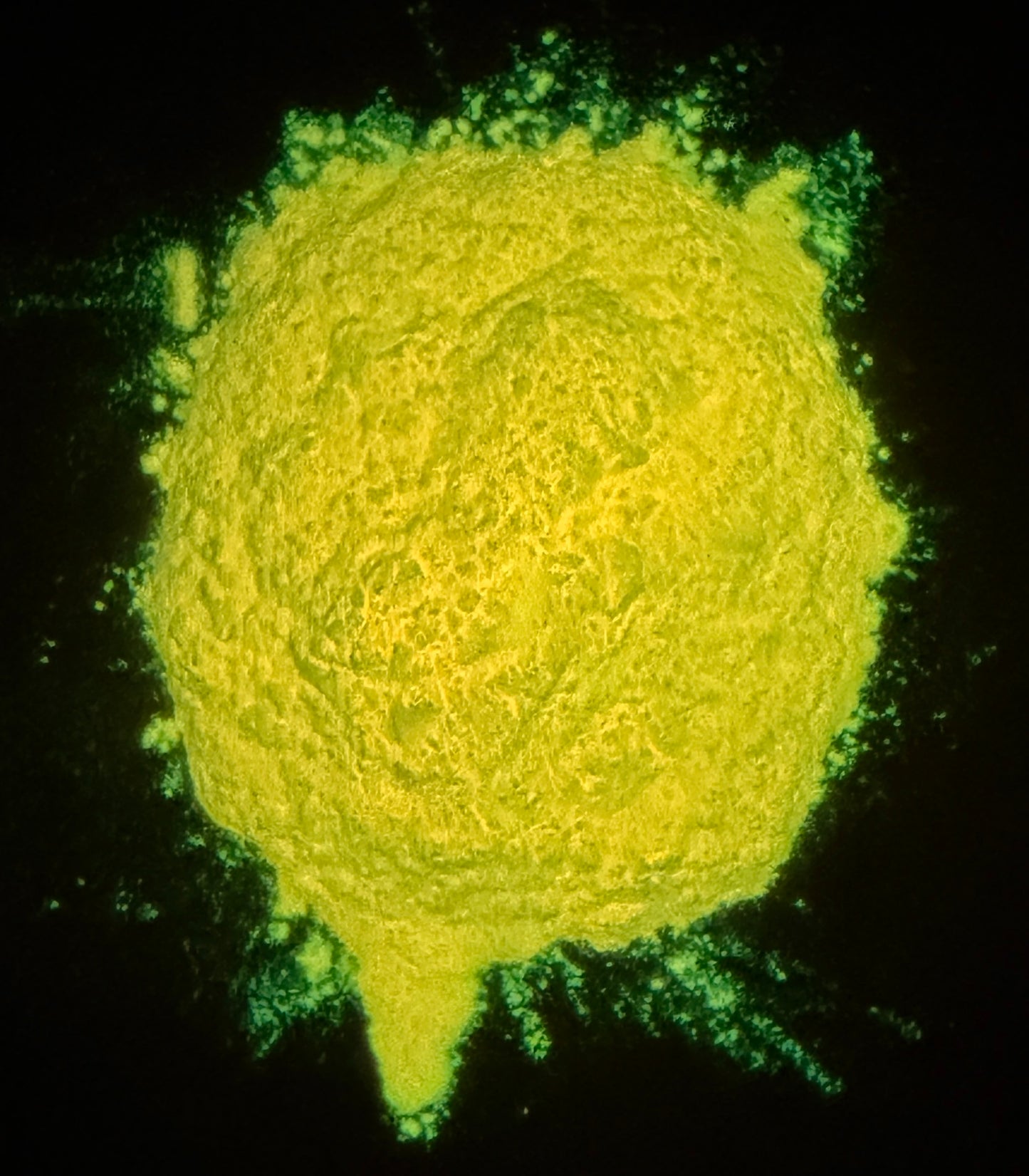 Glow Orange - Glow In The Dark Orange Mica Powder - 10g