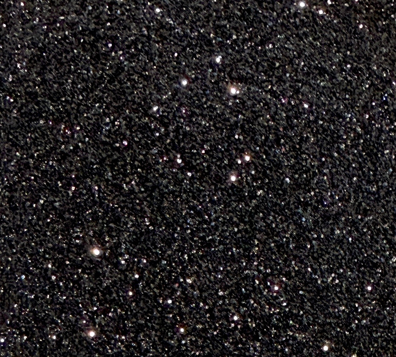Midnight Dahlia - Fine Black Metallic Glitter
