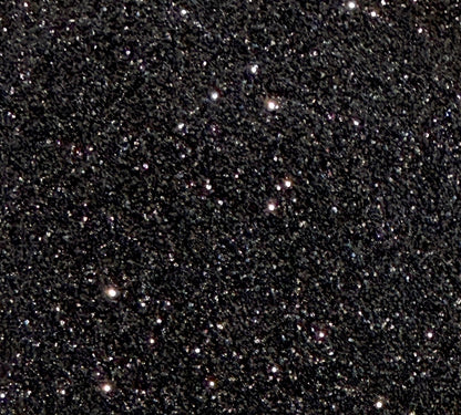 Midnight Dahlia - Fine Black Metallic Glitter