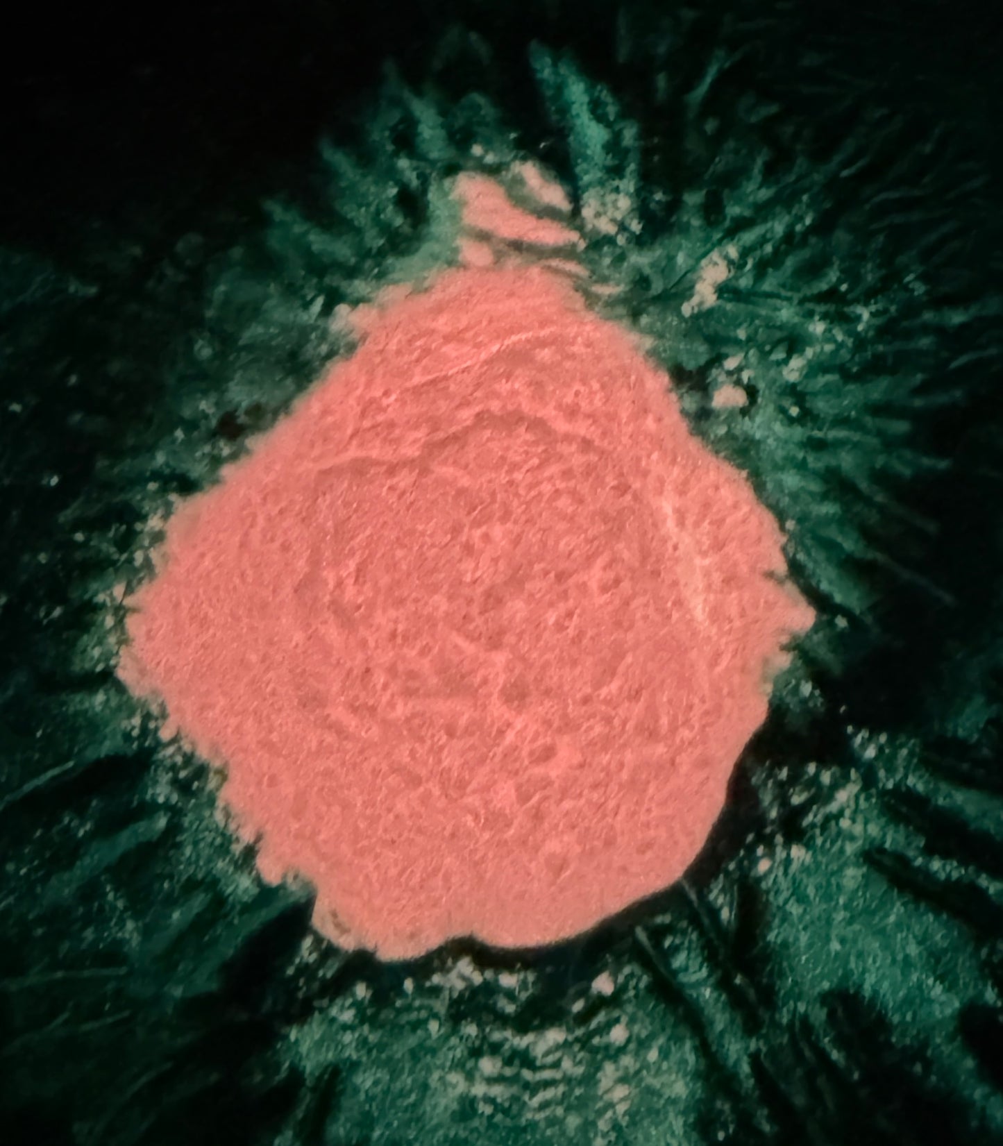 Glow Hot Pink - Glow In The Dark Pink Mica Powder - 10g