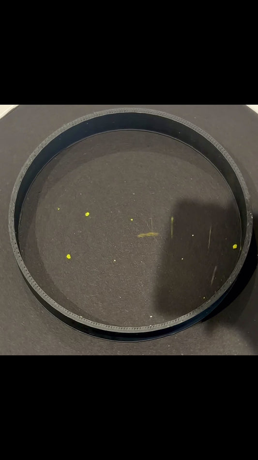 Canary Bird - Chunky/Fine Mix Yellow High Shine Glitter