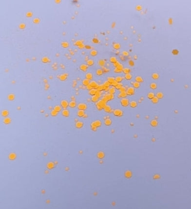 Mexican Sunflower - Chunky Mix Neon Orange Glitter