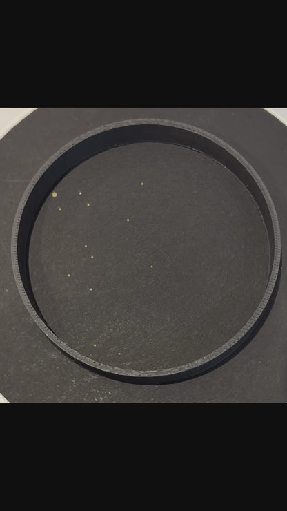 Cape Daisy -  Chunky/Fine Mix Orange Holographic Glitter